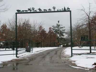 Nice gate