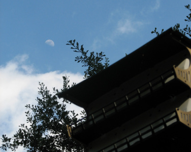 Bird house and moon