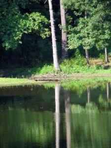 Reflection pond 1