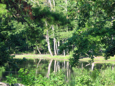 Reflection pond 3