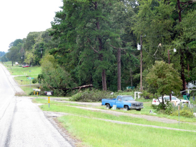 Wind Damage - Oct. 09 -4