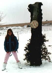 Misty, white Christmas in Tokio, TX